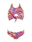 Fashion Multi-color Bowknot Shape Decorated Swimwear