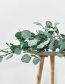 Fashion Green Ficus Lyrata Shape Design Ornament