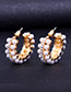 Elegant Gold Color Round Shape Decorated Earrings