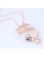 Fashion Rose Gold Owl Pendant Decorated Long Necklace