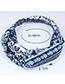 Sweet White+blue Flowers Pattern Decorated Wide Hair Band