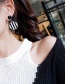 Fashion Black Stripe Pattern Decorated Earrings