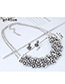 Simple Silver Color Flower Shape Decorated Jewelry Set