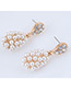 Elegant Gold Color Full Pearls Design Water Drop Shape Earrings