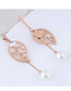 Fashion Rose Gold Leaf Shape Decorated Hollow Out Earrings