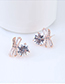 Fashion Rose Gold Bowknot Shape Decorated Earrings