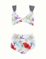 Fashion Multi-color Flower Pattern Decorated Bikini