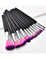 Fashion Pink+purple Color Matching Design Cosmetic Brush(12pcs)