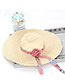 Trendy Beige Flower Decorated Hand-woven Hat