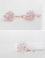 Fashion Rose Gold Snowflake Shape Design Pure Color Earrings