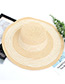 Fashion Beige Stripe Pattern Decorated Hat