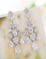 Fashion Silver Color Water Drop Shape Decorated Earrings