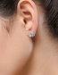 Fashion Rose Gold Flower Shape Decorated Earrings