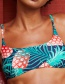 Sexy Red+blue Pineapple Pattern Decorated Swimwear
