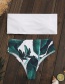 Sexy White+green Leaf Pattern Decorated Simple Swimwear(2pcs)