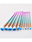 Fashion Pink+blue Hook Shape Decorated Makeup Brush (10 Pcs )