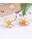Fashion Champagne Flower Shape Decorated Earrings