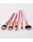 Fashion Pink Sector Shape Decorated Makeup Brush (5 Pcs)