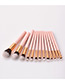 Fashion Pink+brown Round Shape Decorated Makeup Brush (13 Pcs )