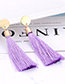Fashion Purple Tassel Decorated Long Earrings