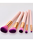 Fashion Pink+plum Red Round Shape Decorated Makeup Brush (5 Pcs )