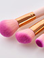 Fashion Pink+plum Red Oblique Shape Decorated Makeup Brush (5 Pcs )