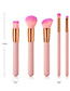 Fashion Pink+plum Red Oblique Shape Decorated Makeup Brush (5 Pcs )
