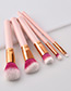 Fashion Gold Color+pink Oblique Shape Decorated Makeup Brush (5 Pcs )