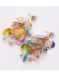 Elegant Multi-color Sector Shape Decorated Long Earrings