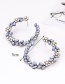 Fashion Gray Full Diamond Decorated Earrings