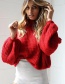Fashion Black Puff Sleeves Design Pure Color Sweater
