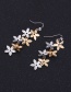 Fashion Multi-color Flowers Shape Decorated Long Earrings