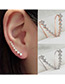 Fashion Rose Gold Pure Color Design Long Earrings