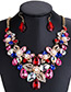 Fashion Multi-color Flower Shape Decorated Jewelry Set