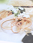 Fashion Gold Color Elephant&cat Shape Decorated Bracelet (4 Pcs )