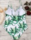 Sexy White+green Weeds Pattern Decorated One-piece Bikini