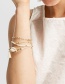 Fashion Gold Color Shell Shape Decorated Bracelet (5 Pcs )