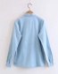 Fashion Light Blue Embroidered Flower Decorated Shirt