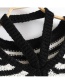 Elegant Black+white Stripe Pattern Design Simple Sweater