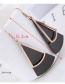 Fashion Rose Gold+black Sector Shape Decorated Earrings