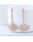 Fashion Rose Gold Full Diamond Design Sector Shape Earrings