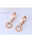 Fashion Rose Gold Round Shape Decorated Earrings