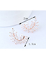 Sweet Silver Color Full Diamond Design Leaf Shape Earrings