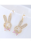 Sweet Gold Color Rabbit Shape Design Simple Earrings