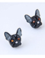 Fashion Black Metal Black Dog Earrings