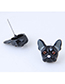 Fashion Black Metal Black Dog Earrings