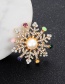 Fashion Multi-color Snowflake Shape Decorated Brooch