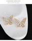 Fashion Gold Color Butterfly Shape Decorated Jewelry Set