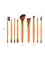 Fashion Orange Flat Shape Decorated Makeup Brush(9pcs)
