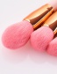 Fashion Pink Pure Color Decorated Makeup Brush(10pcs)